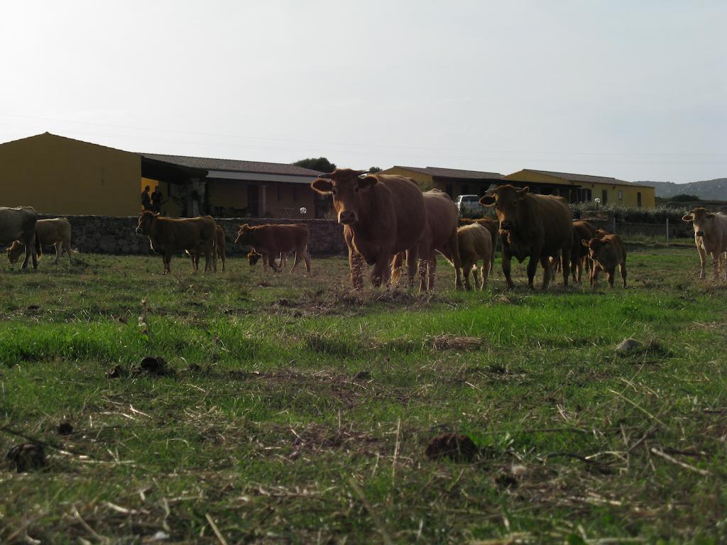 Agriturismo Lu Nodu Greuli Buitenkant foto