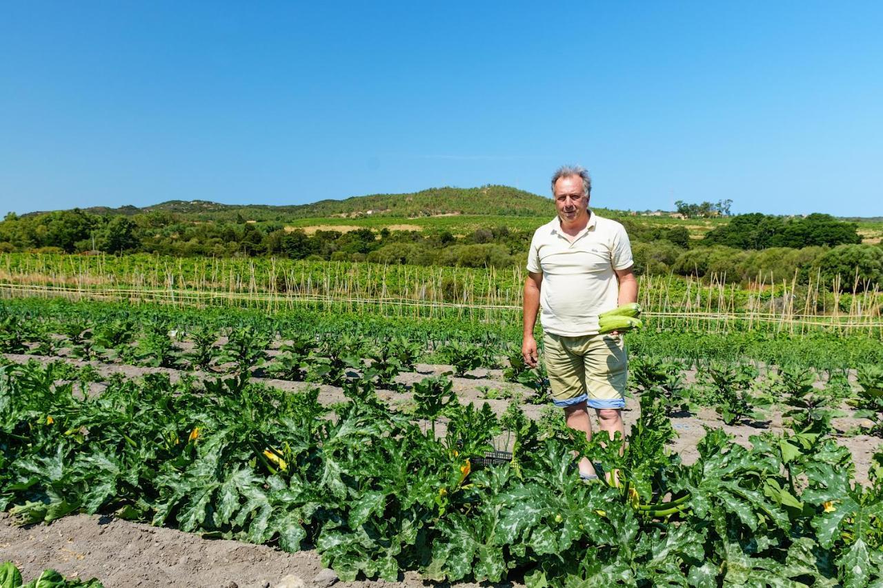 Agriturismo Lu Nodu Greuli Buitenkant foto